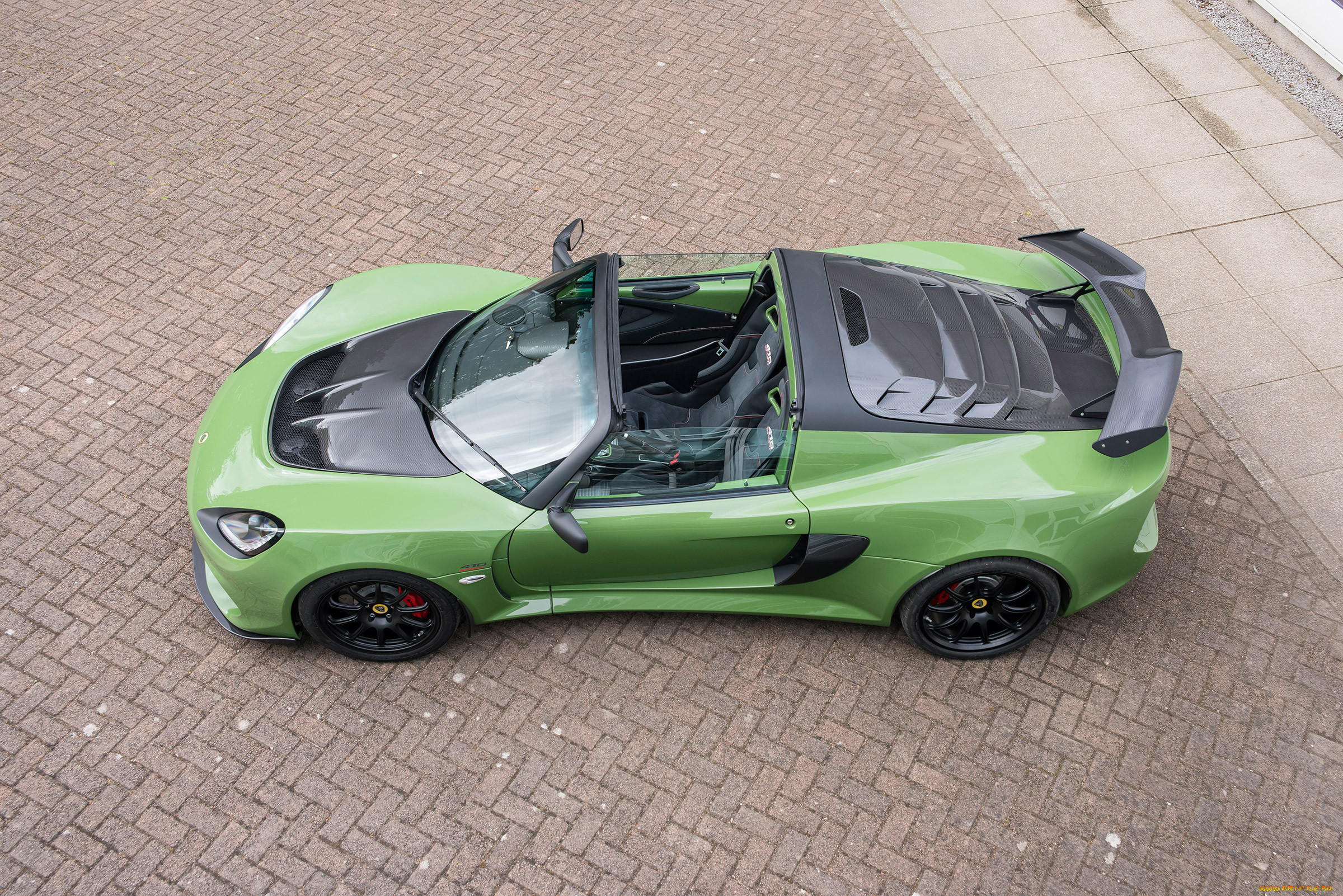 , lotus